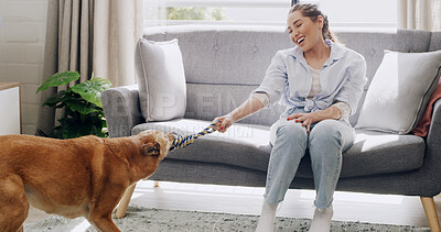 Buy stock photo Rope, playing and woman with dog in home for bonding, adoption or connection together. Smile, training and female person on sofa with puppy, pet or animal for fun on weekend in living room at house.