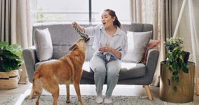 Buy stock photo Sofa, playing and woman with dog in home for bonding, adoption or connection together. Smile, training and female person with puppy, pet or animal for fun on weekend in living room at apartment.