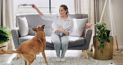 Buy stock photo Smile, playing and woman with dog in home for bonding, adoption or connection together. Happy, training and female person on sofa with puppy, pet or animal for fun on weekend in living room at house.
