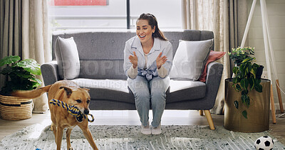 Buy stock photo Playing, happy and woman with dog in home for bonding, connection or training in living room. Smile, love and female person with clapping hands for pet, puppy or animal with toy in apartment together
