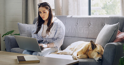 Buy stock photo Home, creative and woman with laptop, dog and reporter with freelance project, research and article. Remote work, journalist and person with pet in lounge, media and edit story for magazine in house