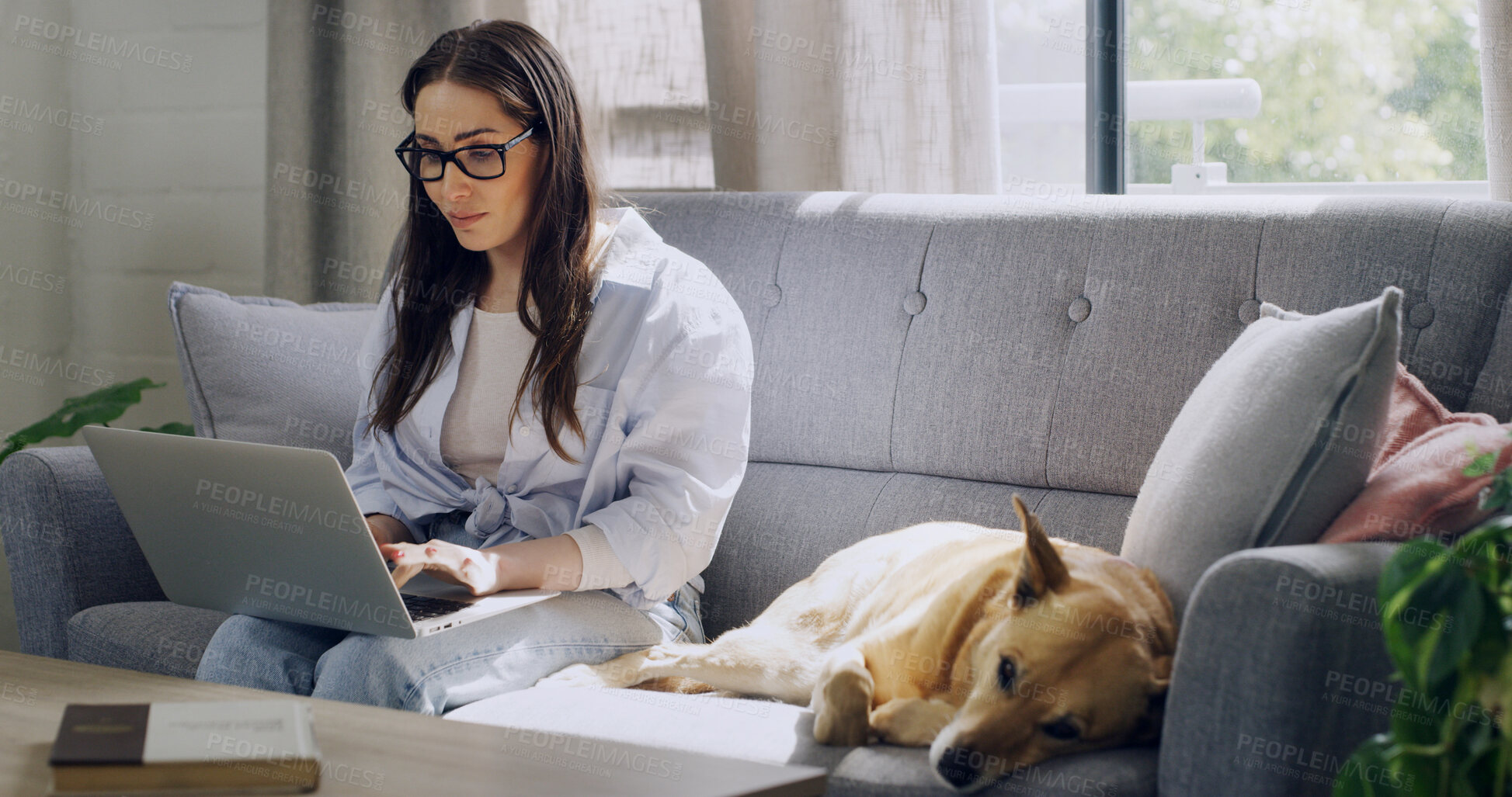 Buy stock photo Home, typing and woman with laptop, dog and writer with freelance project, research or story on web. Remote work, journalist and person with pet in lounge, media and editing article for magazine