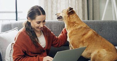 Buy stock photo Petting, dog and woman with laptop, home and smile for published article, journalist and freelancer. Remote work, reporter and person with domestic animal, browsing and  story for magazine in house