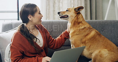 Buy stock photo Break, cuddle or laptop with dog and woman on sofa together for bonding, loyalty or relax. Computer, petting or streaming with animal and happy pet owner in home apartment for companionship or safety