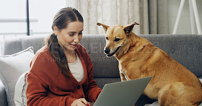 Buy stock photo Remote work, dog and woman with laptop, home or proofreading freelance project, writer and creative. Freelancer, journalist and person with tech for article, online and happy with domestic animal