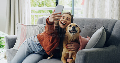 Buy stock photo Happy woman, dog and selfie on couch in home with hug, love and excited for post in living room. Person, smile and photography with pet animal on sofa, profile picture and social media at apartment