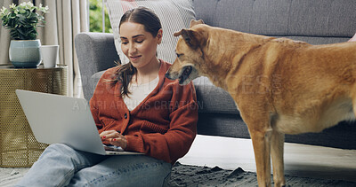 Buy stock photo Home, writer and woman with laptop, dog or creative with freelance project, research or story on web. Remote work, journalist and person with pet in lounge, media and editing article for magazine