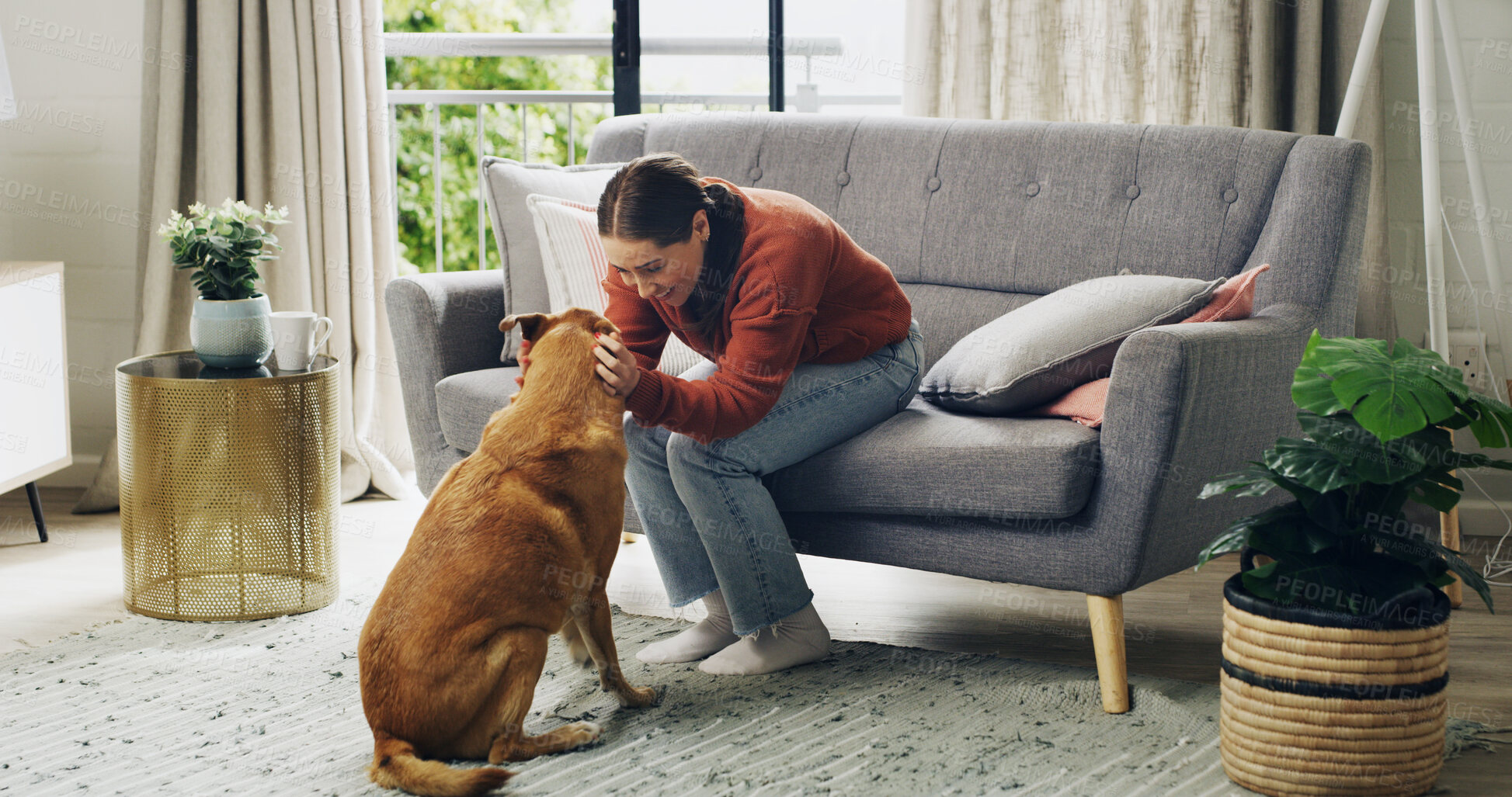 Buy stock photo Happy woman, play and care for dog on sofa, love and stroke for trust in living room at apartment. Person, pet animal and connection in lounge with loyalty, touch or bonding on couch in house