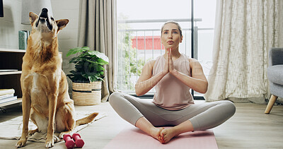 Buy stock photo Yoga, meditation and woman with dog, home and relax with wellness, fitness and breathing. Pet owner, apartment and person on mat, animal and chakra with stress relief, routine and zen with health