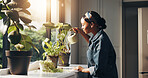 Black woman, plants or water with pot in home for natural sustainability, growth or ecology. Homeowner, female person or environmentalist feeding fern with window sunlight for greenhouse conservation