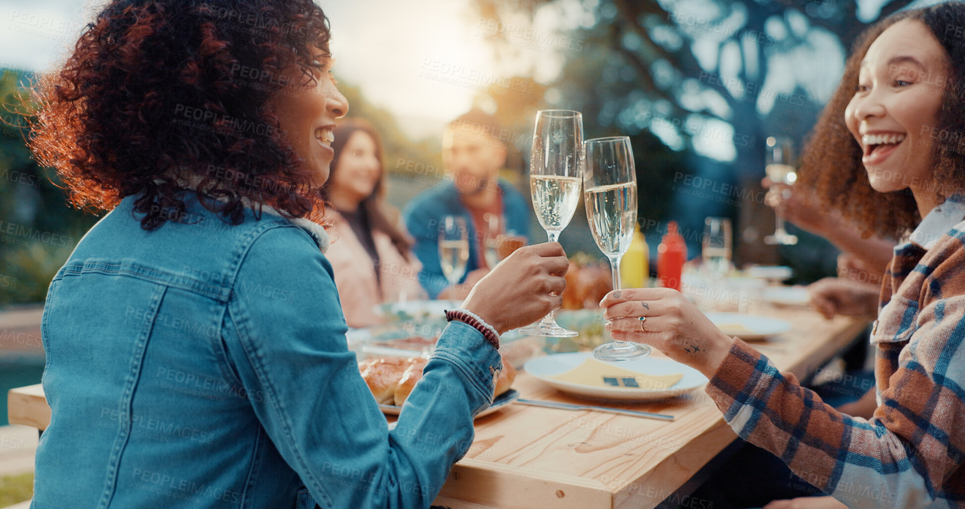 Buy stock photo Women, cheers and champagne with lunch outdoor for conversation, bonding and social gathering. Thanksgiving celebration, people and happy together with alcohol for holiday reunion and weekend break