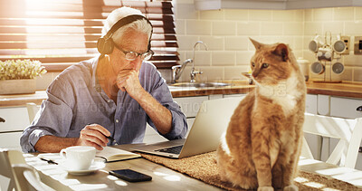 Buy stock photo Elderly man, headphones and notes with laptop of financial planning, review budget and streaming. Senior person, PC and pet cat for listening to music, finance reminder and bills information at house