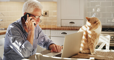 Buy stock photo Home, phone call and old man with cat, talking or plan for pet insurance on laptop or communication. Policy, update and conversation with customer service for low vet care, elderly person and animal