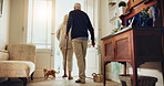 Retirement, back and old couple in home with cat, walking and health for heart rate. Sunlight, wellness and elderly people in house with cane, together and support for daily cardio exercise. 