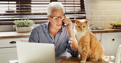 Buy stock photo Home, phone call and senior man with pet, talking and plan for health insurance on laptop or online. Policy, update and conversation with customer service for low vet care, elderly person and cat