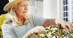 Gardening, scissor and senior woman outdoor with horticulture, sustainability and hobby. Gardener, house and elderly female person with tool for shaping plants bush in backyard at retirement home.