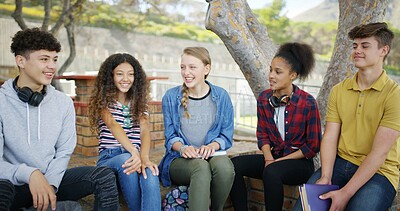 Buy stock photo High school, friends and students with conversation, outdoor and education with support. Happy group, girls and boys with discussion, learning and knowledge with break, teenager and study tips