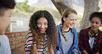 High school, happy friends and talking outdoor for education, learning and campus gossip. Teen, boy and group of girls with scholarship conversation, exam or study tips for project with students