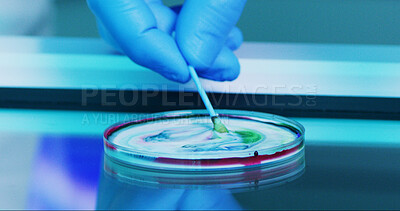 Buy stock photo Scientist, person and swab with petri dish for biology, experiment and medical research. Biotech, laboratory and development with liquid sample study for pharmaceutical or pathology innovation