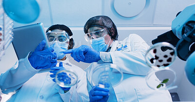 Buy stock photo People, scientist and tablet with petri dish in lab for testing sample, experiment and research. Below, team and digital report for chemical reactions, medical study and pathogen detection of vaccine