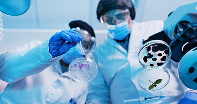 Buy stock photo Below, people and scientist with petri dish in lab for testing sample, experiment and research. Team, pipette and purple liquid for chemical reactions, medical study and pathogen detection of vaccine