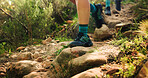 Shoes, hiking and person with fitness, walking and environment with wellness, explore and path. Closeup, outdoor and healthy hiker with sneakers, trekking and training with exercise, hobby and travel