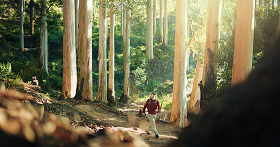 Buy stock photo Man, hiking and walk in woods for adventure, sightseeing and nature for tourism on summer vacation. Person, outdoor and trekking in forest, explore or travel in countryside at park in New Zealand