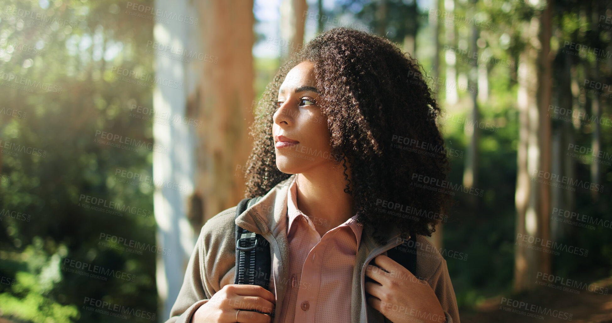 Buy stock photo Thinking, hiking and woman in forest for holiday, eco tourism or adventure in nature. Vacation, trekking and African person in woods for trip, travel and reflection in environment for sightseeing