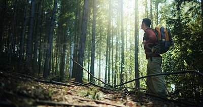 Buy stock photo Thinking, sightseeing and man with hiking in forest for travel adventure, explore scenery or space. Low angle, person and backpack in woods with journey reflection, trekking break and walking pause