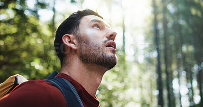 Buy stock photo Thinking, hiking and man in woods for adventure, eco tourism or holiday with space. Profile, trekking and person in forest for outdoor trip, travel and reflection for wanderlust with bokeh in nature
