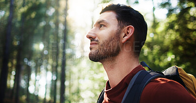 Buy stock photo Reflection, nature and man in forest with break, bokeh or sightseeing on international trip. Explore, relax and tourist in woods with thinking, trekking journey or escape in Alaska rainforest