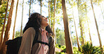 Thinking, woman and rest from hiking in forest for travel, adventure ideas and holiday reflection. Below, female person and thoughts for trekking vision, backpacking scenery and sightseeing in nature