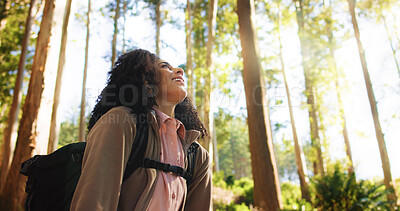 Buy stock photo Thinking, woman and rest from hiking in forest for travel, adventure ideas and holiday reflection. Below, female person and thoughts for trekking vision, backpacking scenery and sightseeing in nature