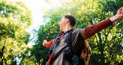 Buy stock photo Man, celebration and hiking in woods with open arms, goals and shout for achievement in nature. Person, excited and cheers in forest with success, trekking or adventure with low angle in Australia