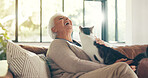 Happy, senior woman and cat on couch with sunlight, retirement and enjoyment in lounge. Elderly person and feline animal bonding in home with smile, laughter and affectionate in living room flare. 