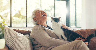 Buy stock photo Happy, senior woman and cat on couch with sunlight, retirement and enjoyment in lounge. Elderly person and feline animal bonding in home with smile, laughter and affectionate in living room flare. 