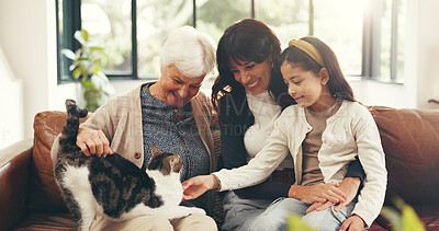 Buy stock photo Happy, family and child on sofa with cat, love and people bonding together in home living room. Senior woman, mother and girl playing on couch with animal, connection and support for grandmother