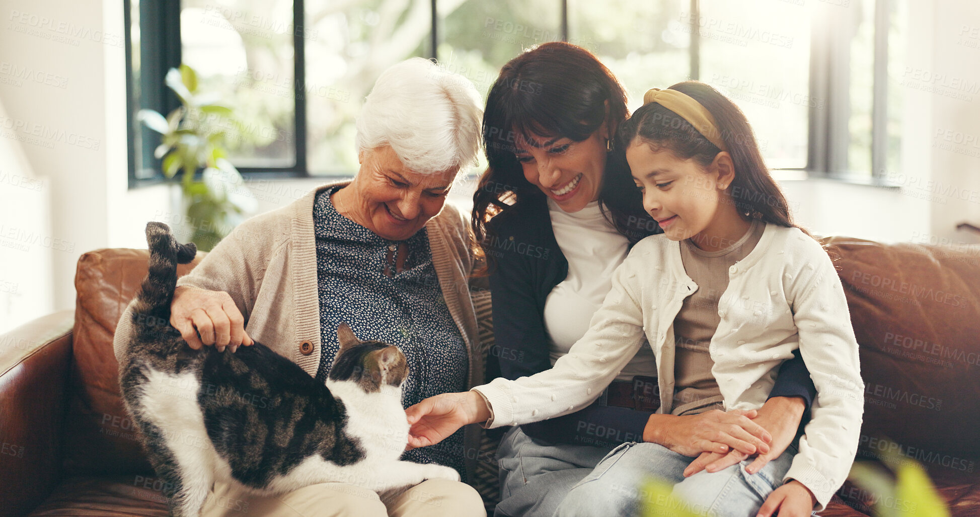 Buy stock photo Happy, family and child on sofa with cat, love and people bonding together in home living room. Senior woman, mother and girl playing on couch with animal, connection and support for grandmother