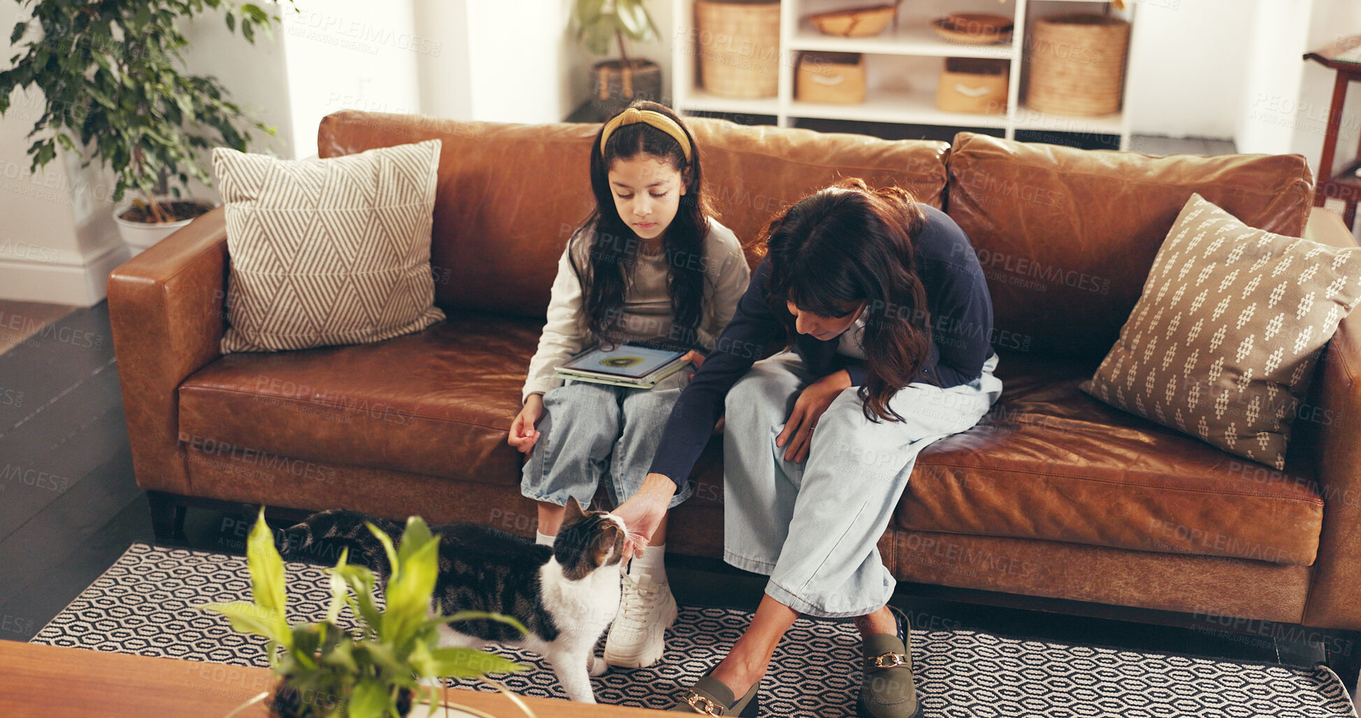 Buy stock photo Break, cat or stroke with mother and daughter on sofa in living room of home together for bonding. Animal care, chill or relax with girl child, pet and single parent woman in apartment on weekend