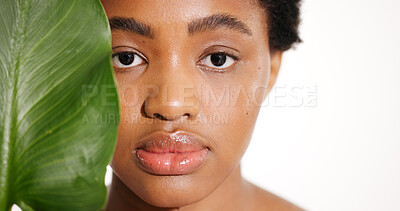 Buy stock photo Portrait, skincare and black woman with leaf for natural beauty, glow or organic cosmetics. Face, aesthetic and model with tropical plant, eco friendly dermatology or white background space in studio