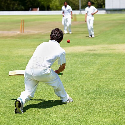 Buy stock photo Cricket field, training and man with sports, bowling and fun with competition and grass with sunshine. Person, athlete and player with a ball and exercise with fitness or practice with summer or game
