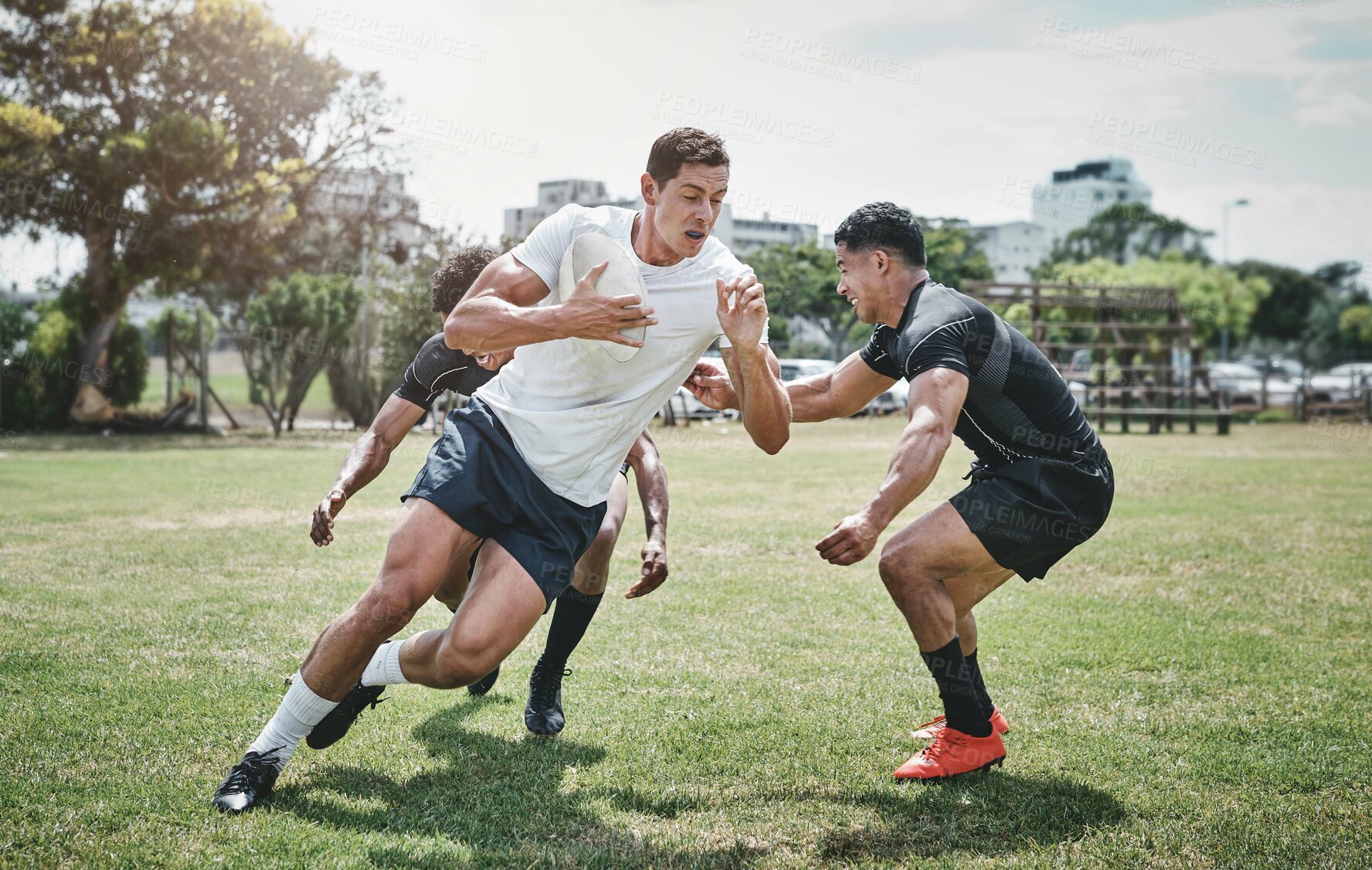 Buy stock photo Sport, rugby and team with player on field for tournament match, competition or tackle with ball. Strong athlete, men and playing in game with performance, action or fitness on grass pitch at stadium