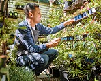 Green, plants and man with checklist, inventory check at nursery, plant store and garden business. Stock inspection, quality assurance and nature, happy worker with clipboard, eco friendly and flower