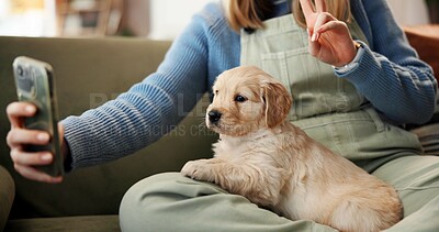 Buy stock photo Owner, peace sign and selfie with puppy on lap of person in home living room for bonding, love or relax. Break, dog or social media with pet labrador and woman on apartment sofa for profile picture