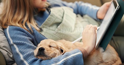 Buy stock photo Owner, sleep and tablet with puppy on lap of person in living room of home for bonding or relax. App, break or dog with pet labrador and woman on sofa in apartment for loyalty or security with tech