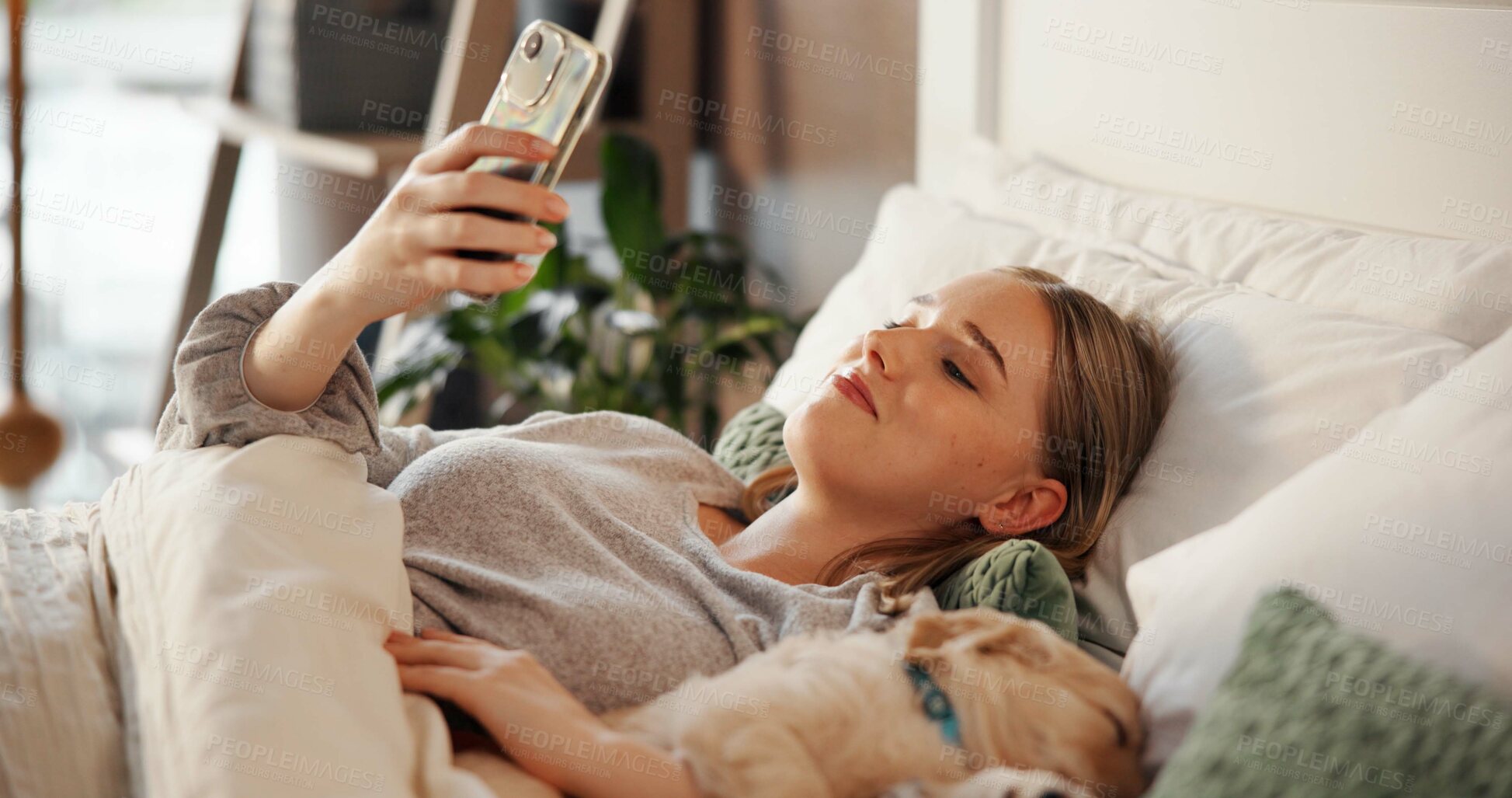 Buy stock photo Break, phone or smile with puppy and woman in bedroom of home together for rest or sleeping. App, communication or relax with happy owner and pet Labrador in apartment for bonding or social media