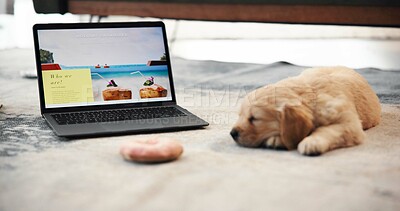Buy stock photo Laptop, screen and dog on floor in home for online booking, research and website for planning trip. Tired, sleeping and Labrador puppy by computer for pet friendly getaway, travel and vacation
