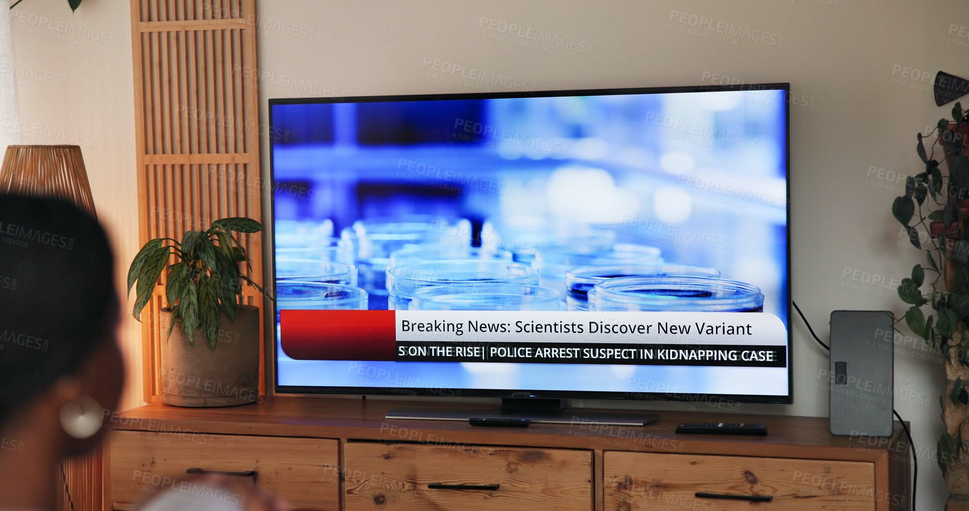 Buy stock photo Watching, screen and person in home with headline, breaking news and healthcare alert in pandemic update. Broadcast, medical and woman in living room with tv, report or info on current events