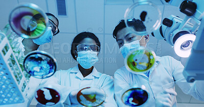 Buy stock photo Petri dish, sample and science with people in laboratory for biology or research from below. Bacteria, investigation and test with medical team at work for clinical trial, cure or vaccine study