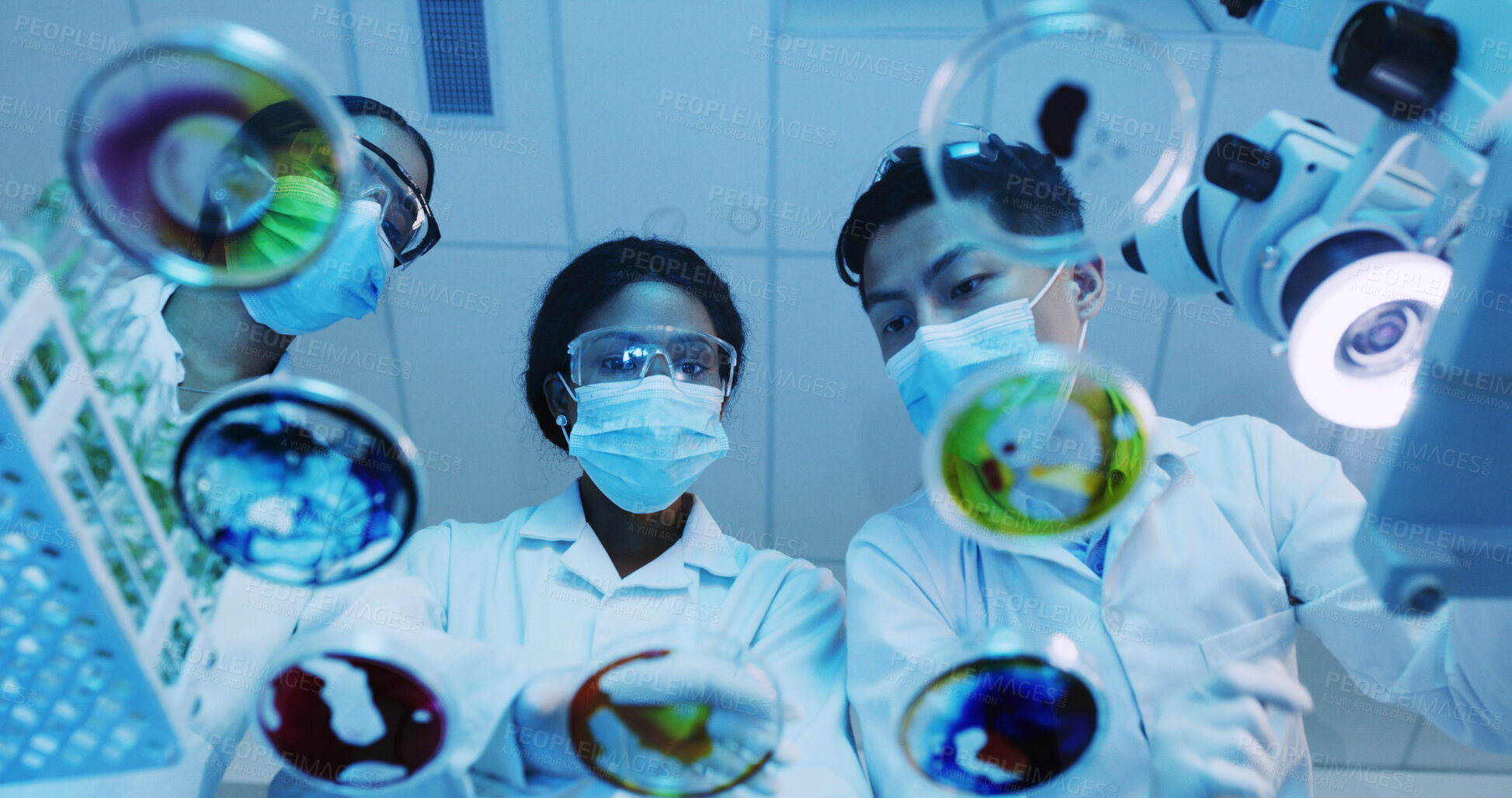 Buy stock photo Petri dish, sample and science with people in laboratory for biology or research from below. Bacteria, investigation and test with medical team at work for clinical trial, cure or vaccine study